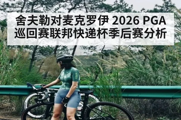 舍夫勒对麦克罗伊 2026 PGA巡回赛联邦快递杯季后赛分析